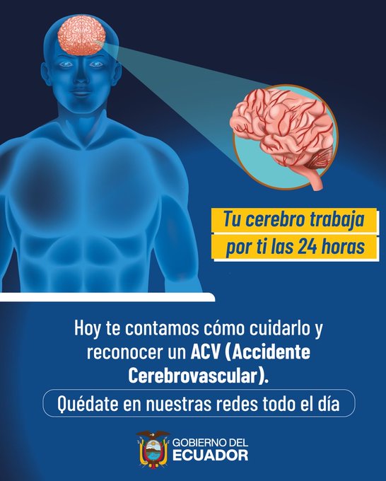 Tu cerebro te da señales